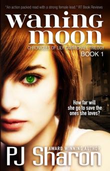      Waning Moon
