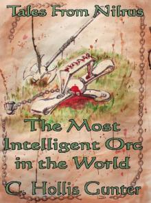     The Most Intelligent Orc in the World