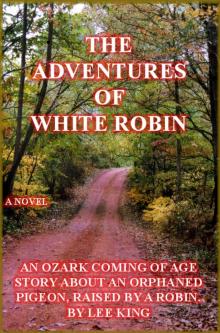      The Adventures of White Robin