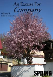      An Excuse For Company Volume 6: Spring