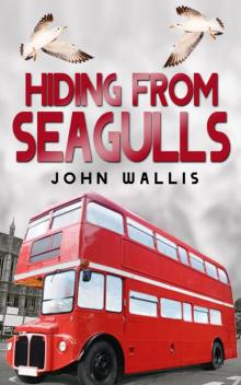      Hiding From Seagulls