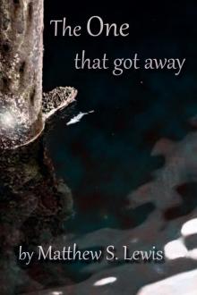      The One that Got Away