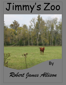      Jimmy's Zoo