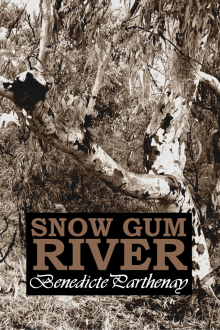      Snow Gum River
