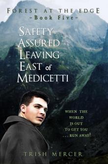      Safety Assured Leaving East of Medicetti