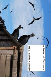      A Wake of Vultures