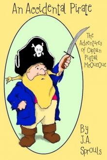      An Accidental Pirate, The Adventures of Captain Pigtail McQueue