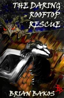      The Daring Rooftop Rescue