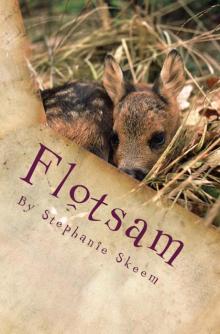      Flotsam