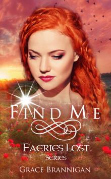      Find Me: Faeries Lost