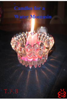      Candles for a Water Moccasin