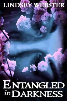      Entangled in Darkness