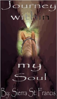      Journey within my Soul