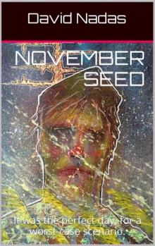      November Seed
