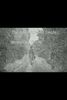      The adventures of Tinchi