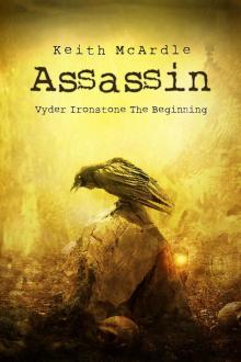      Assassin: The Beginning