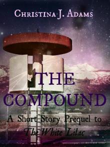      The Compound