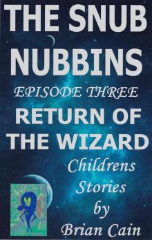      Return of the Wizard