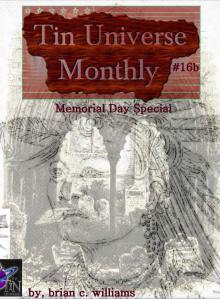      Tin Universe Monthly #16b 2014 Memorial Day Special