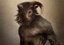      Chimeras 04
