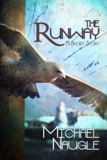      The Runway