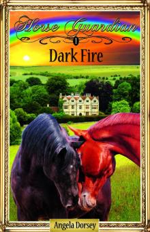      Dark Fire