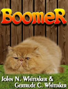      Boomer