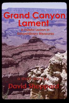      Grand Canyon Lament, A Fateful Lesson in Extraordinary Measures
