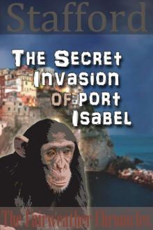     The Secret Invasion of Port Isabel