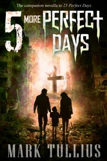      5 More Perfect Days
