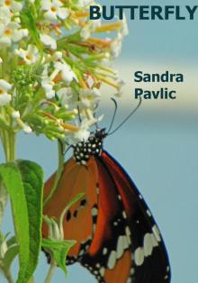      Butterfly