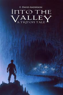      Into the Valley