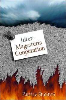      Inter-Magisteria Cooperation