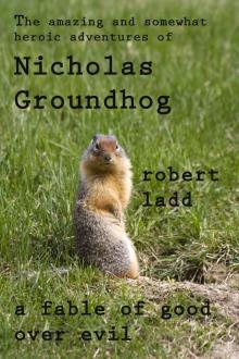      The Amazing and Somewhat Wondrous Adventures of Nicholas Groundhog