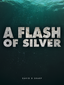      A Flash of Silver