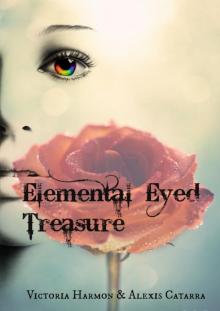      Elemental Eyed Treasure