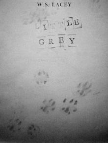      Little Grey