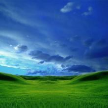     Summerland