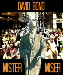      Mister Miser