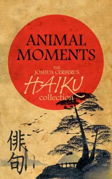      Animal Moments