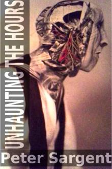      Unhaunting The Hours
