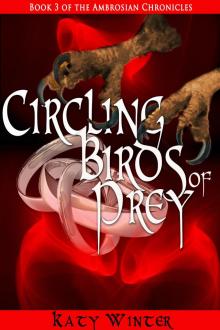      Circling Birds of Prey