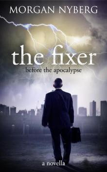      The Fixer