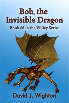      Bob, the Invisible Dragon