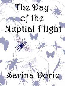      The Day of the Nuptial Flight