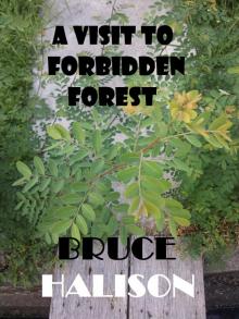      A Visit to Forbidden Forest