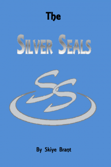      The Silver Seals - Skylar