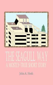     The Seagull Way: A Mostly-True Short Story