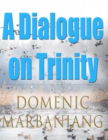      A Dialogue on Trinity