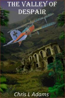      The Valley of Despair